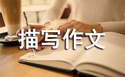 美国篮球训练计划一整套_1
